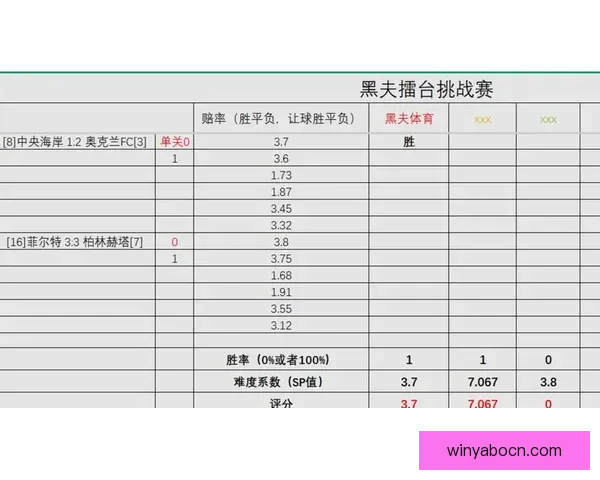 全方位解析体育竞猜游戏策略与技巧,助你提升胜率、精准预测赛事结果 全方位解析体育竞猜游戏策略与技巧,助你提升胜率、精准预测赛事结果