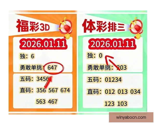 精准预测与分析：掌握体育竞猜技巧助你稳步获胜